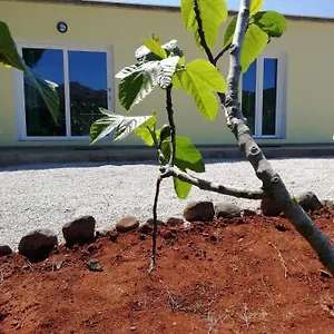 La Casa Dei Fichi , Porto Azzurro Italia